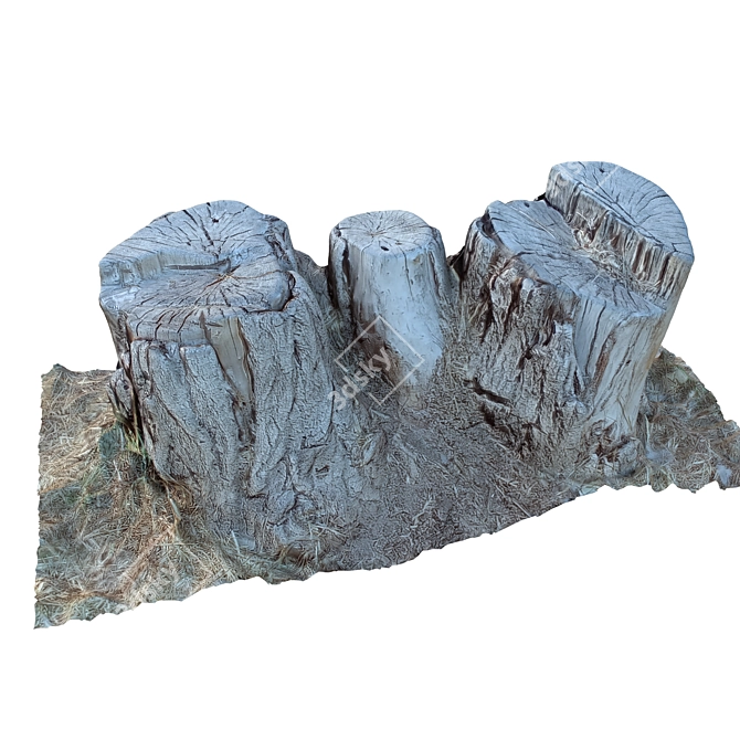 Natural Tree Trunk 24 3D model image 5