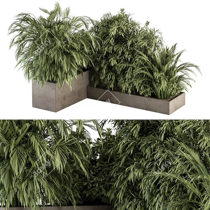 Tropical Plant Box Set 3D model image 1