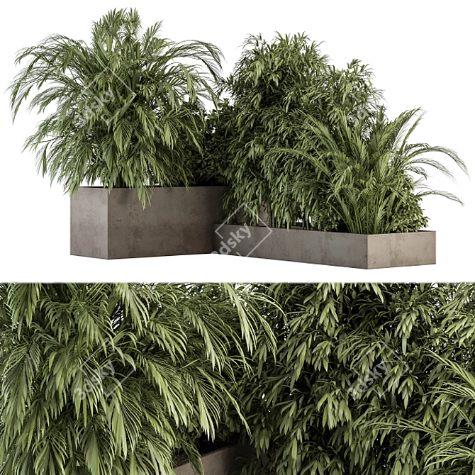 Tropical Plant Box Set 3D model image 2