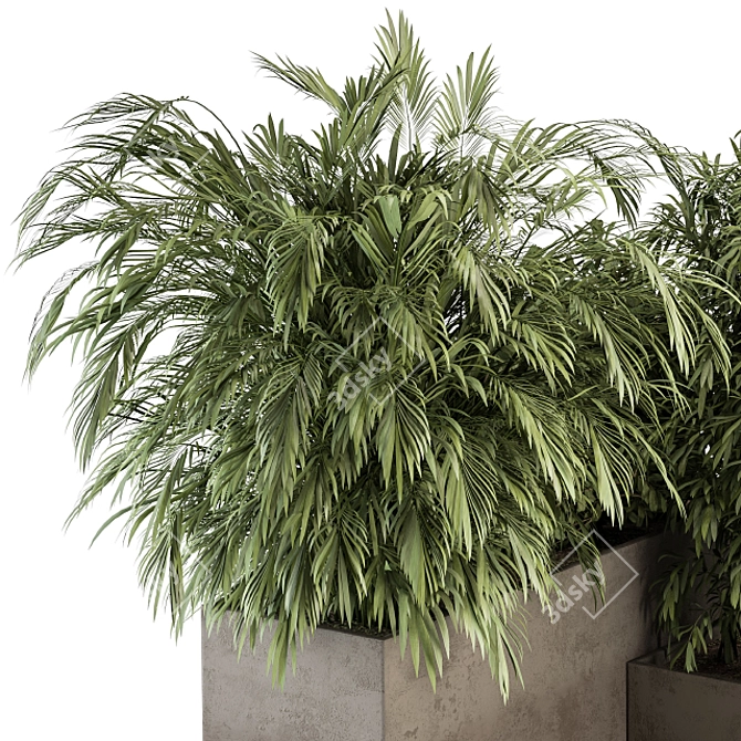 Tropical Plant Box Set 3D model image 3