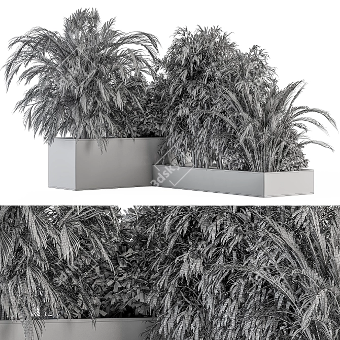 Tropical Plant Box Set 3D model image 6