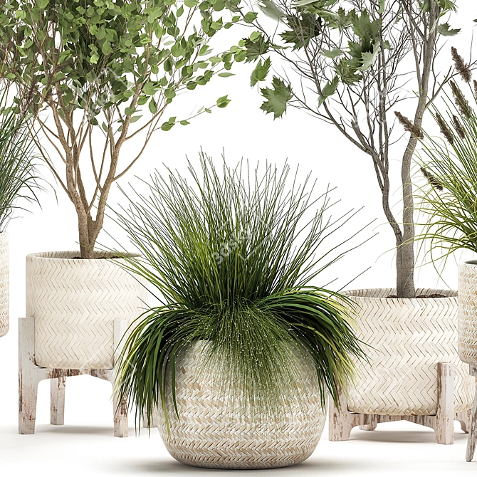 Exotic Plant Collection in Decorative Baskets 3D model image 5