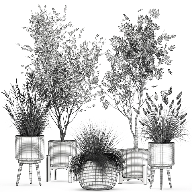 Exotic Plant Collection in Decorative Baskets 3D model image 7