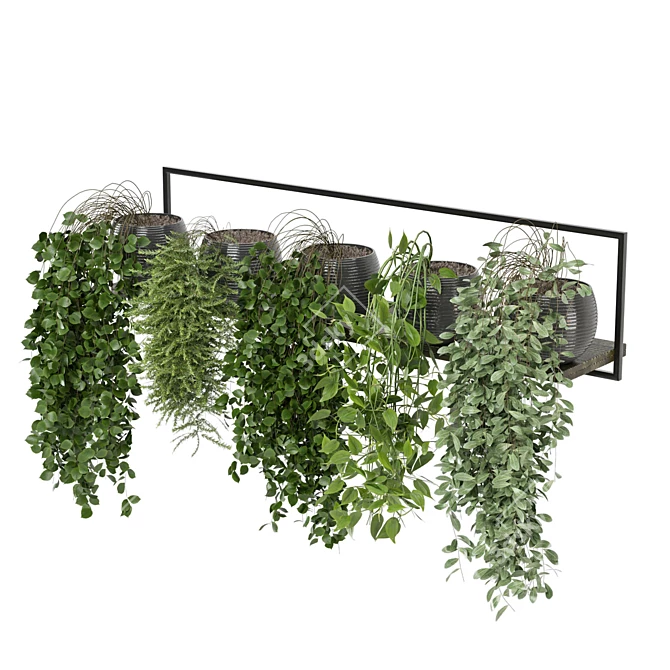 Rusty Concrete Indoor Plants Shelf 3D model image 3