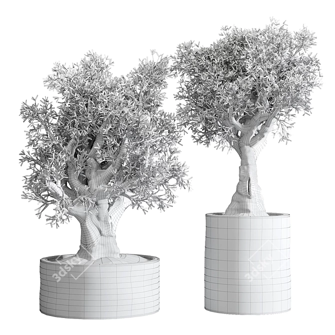 The Vintage Olive Tree: Outdoor Collection 3D model image 6