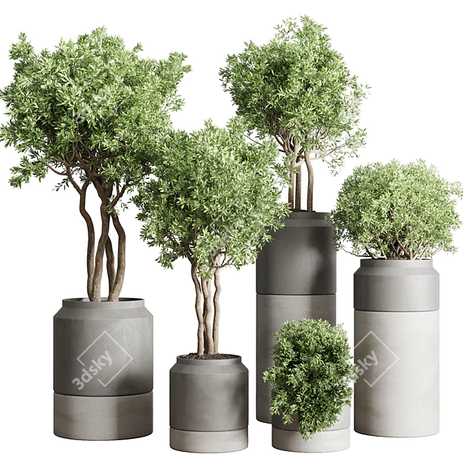 61 Concrete Vase Pot Collection 3D model image 1