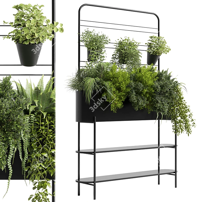 Auckland Black Metal Flower Box: Indoor Plant Collection 3D model image 2