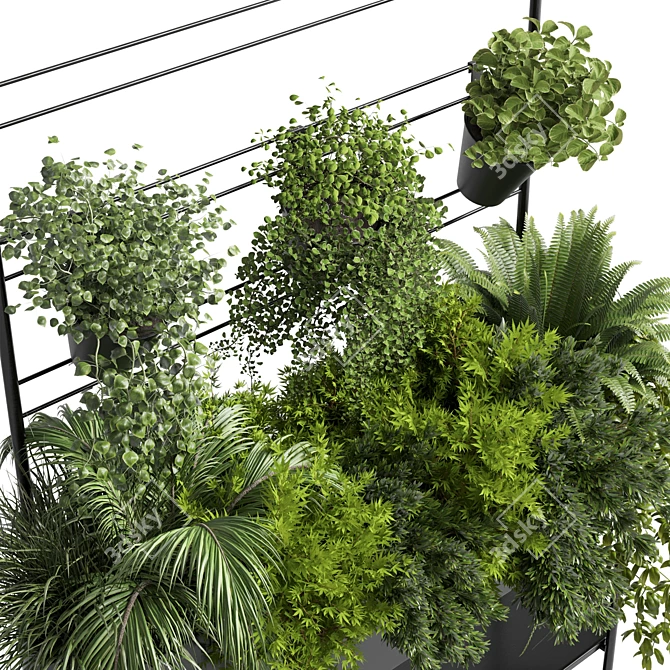 Auckland Black Metal Flower Box: Indoor Plant Collection 3D model image 4