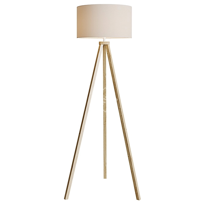 Latitude Run Tripod Floor Lamp 3D model image 1