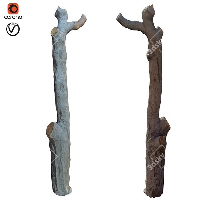 Natural Wood Trunk Decor 3D model image 1