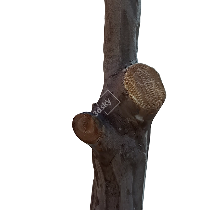 Natural Wood Trunk Decor 3D model image 3