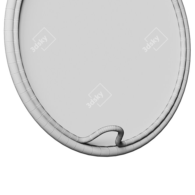 Lasso Wall Mirror with Hook 3D model image 3