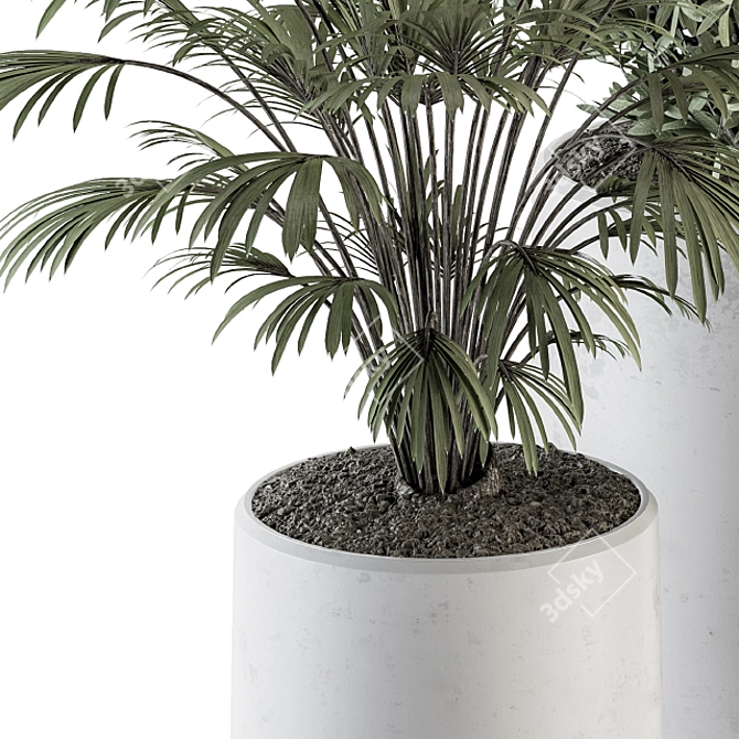 Green Oasis: 3-In-1 Indoor Plant Set 3D model image 4