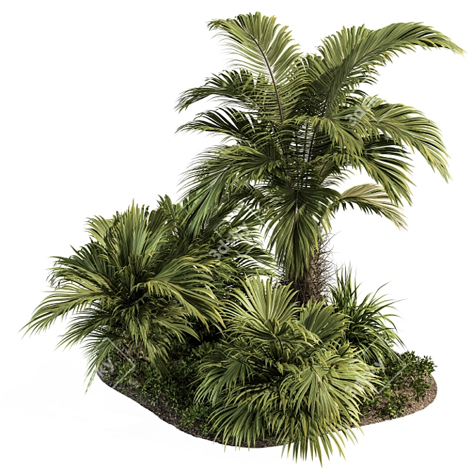 Tropic Oasis Garden Set 3D model image 1