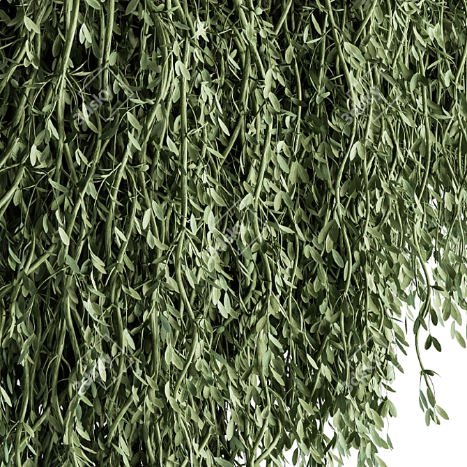 Green Oasis Hanging Plant Set 3D model image 3