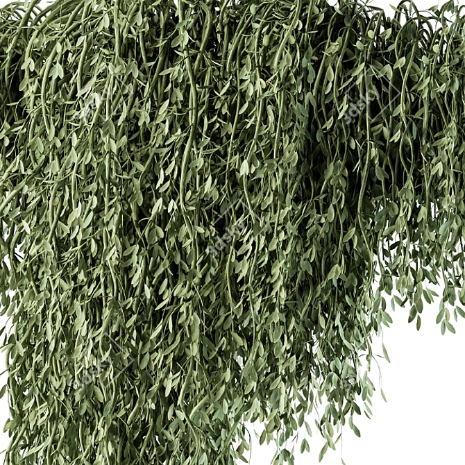 Green Oasis Hanging Plant Set 3D model image 4