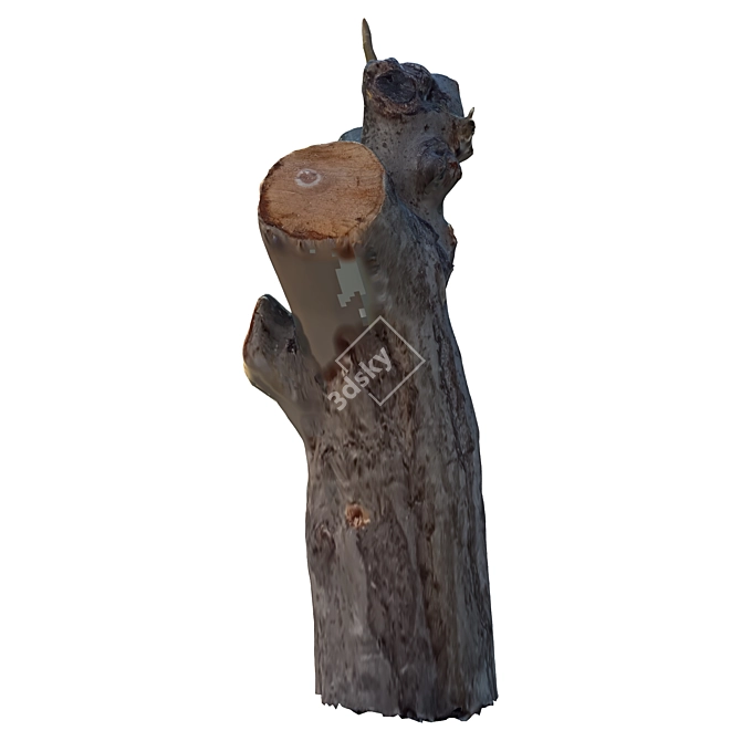 Sculpted Tree Trunk 30 3D model image 2