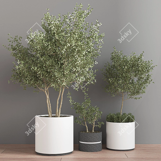 Indoor Jungle - A Set of 15 Lush Houseplants 3D model image 2