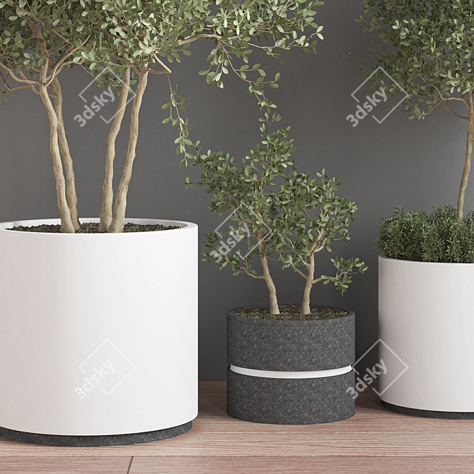 Indoor Jungle - A Set of 15 Lush Houseplants 3D model image 4