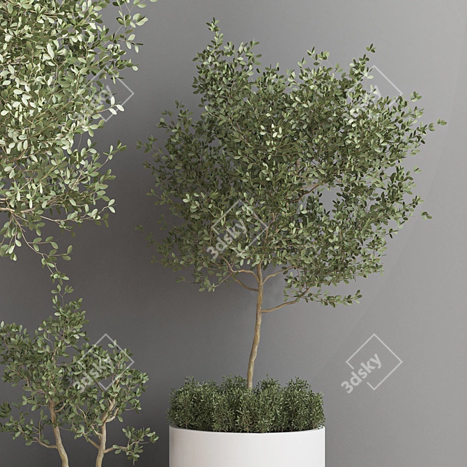 Indoor Jungle - A Set of 15 Lush Houseplants 3D model image 5