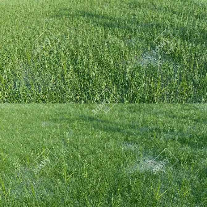 Optimal Grass Collection 3D model image 1
