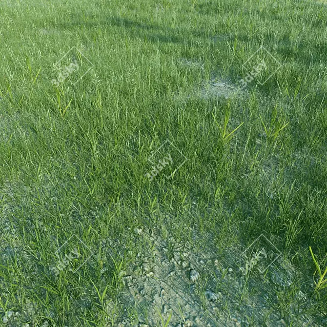 Optimal Grass Collection 3D model image 2