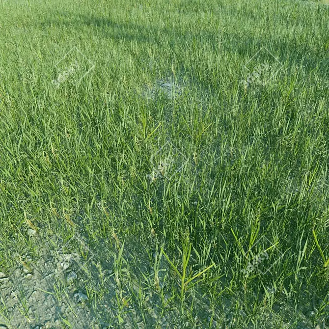 Optimal Grass Collection 3D model image 3