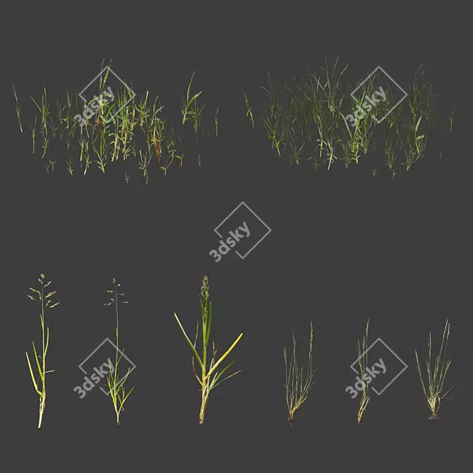 Optimal Grass Collection 3D model image 4
