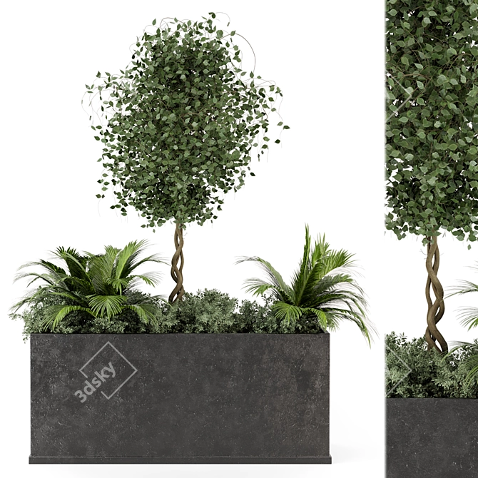 Outdoor Succulent Plants in Concrete Pot 3D model image 1