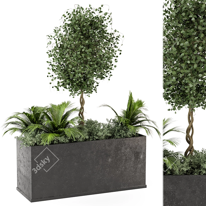 Outdoor Succulent Plants in Concrete Pot 3D model image 2