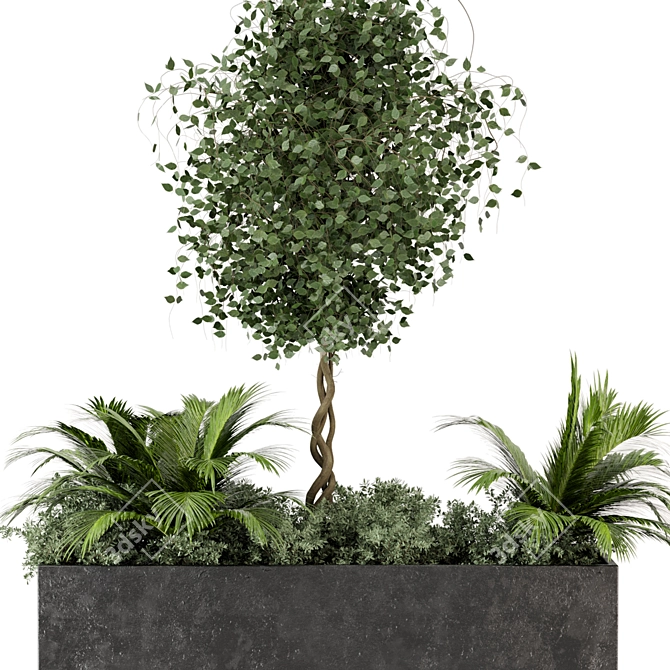 Outdoor Succulent Plants in Concrete Pot 3D model image 3