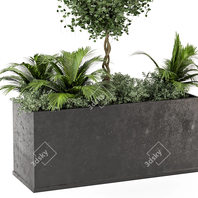 Outdoor Succulent Plants in Concrete Pot 3D model image 4