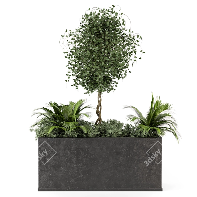 Outdoor Succulent Plants in Concrete Pot 3D model image 6