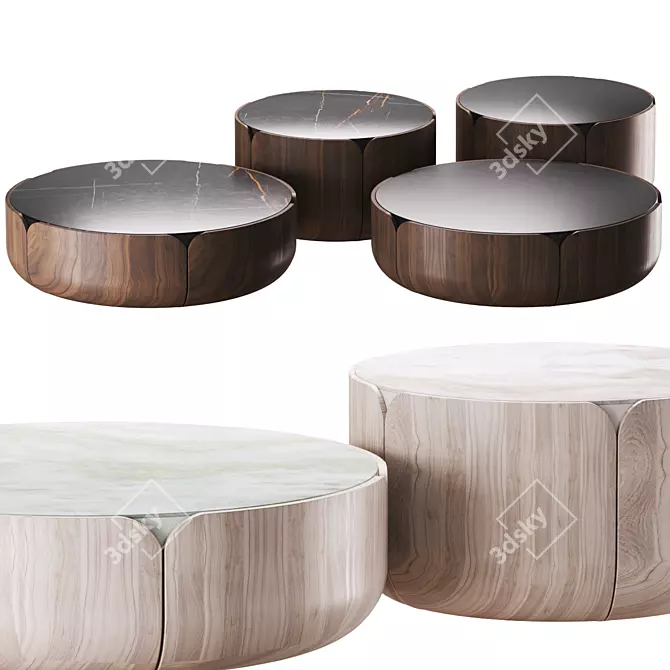 BLOOM Tables: Modern Elegance in 6 Designs 3D model image 1