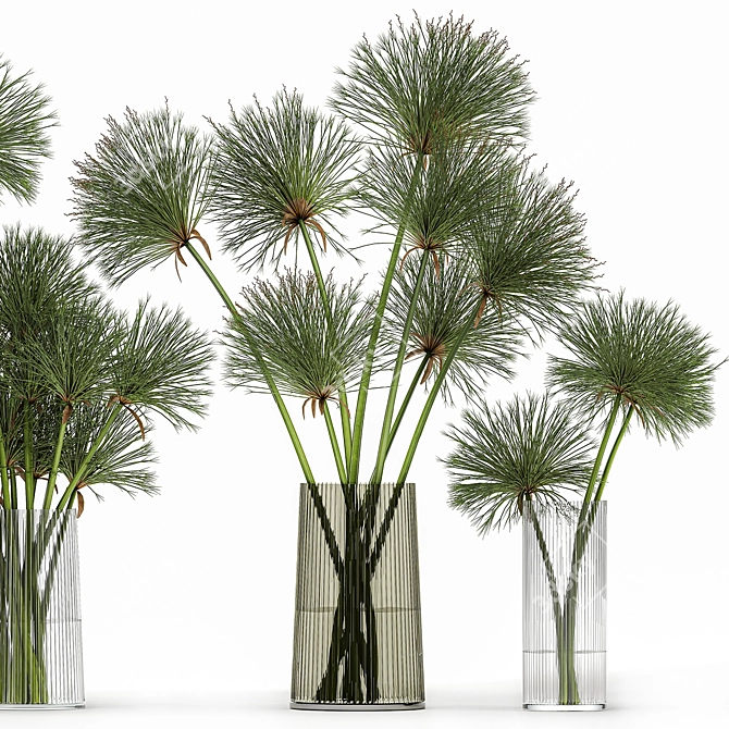 Greenery Delight: Cyperus Papyrus Bouquet 3D model image 4