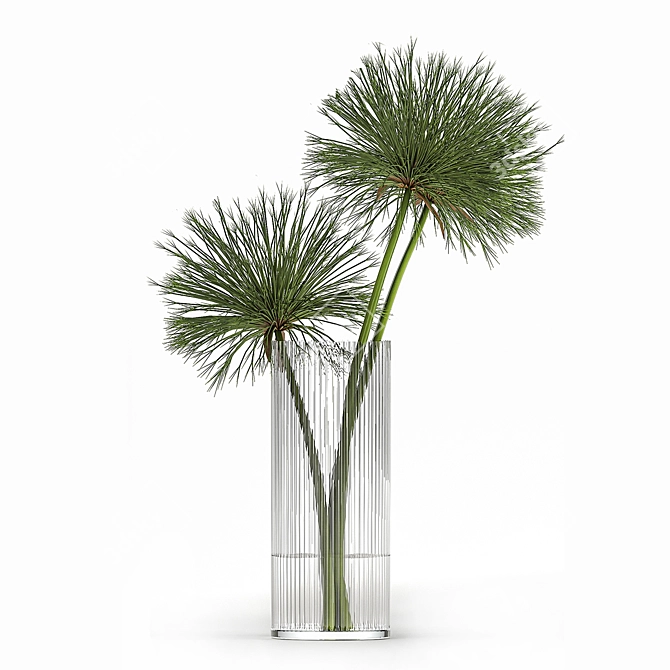 Greenery Delight: Cyperus Papyrus Bouquet 3D model image 6