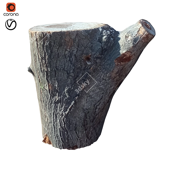 Natural Wood Trunk Sculpture 3D model image 1