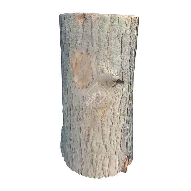 Natural Wood Trunk Sculpture 3D model image 2