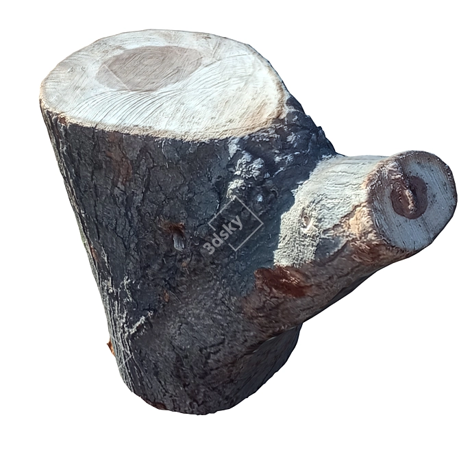 Natural Wood Trunk Sculpture 3D model image 5