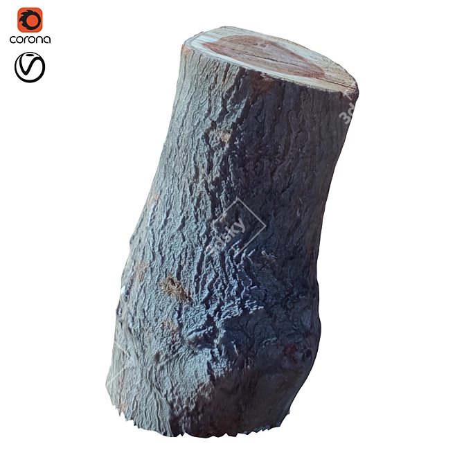 Natural Wood Trunk 33 3D model image 1