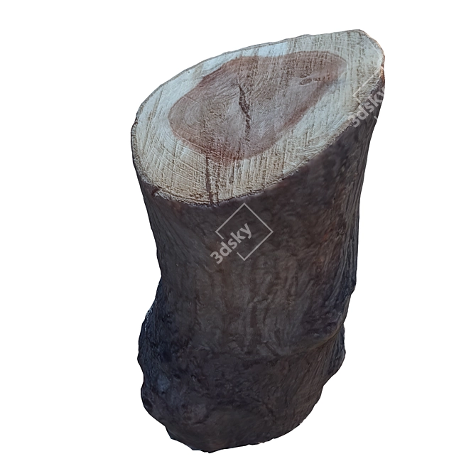 Natural Wood Trunk 33 3D model image 2