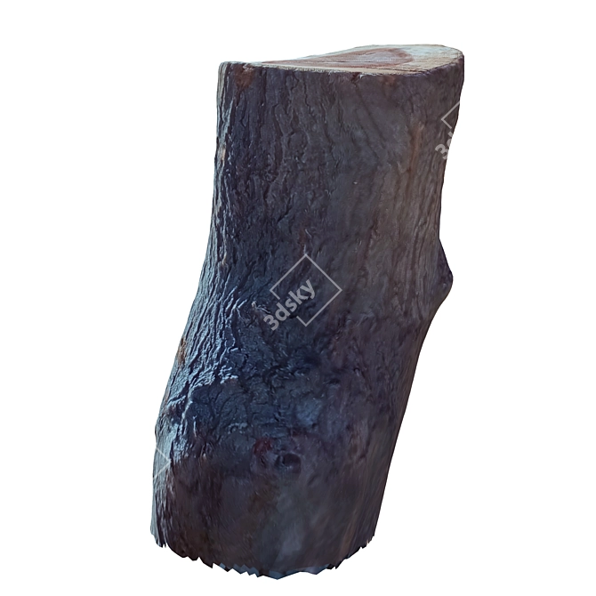Natural Wood Trunk 33 3D model image 3