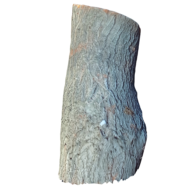 Natural Wood Trunk 33 3D model image 5