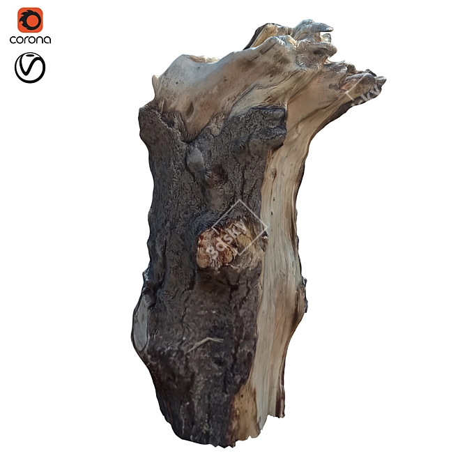 Natural Tree Trunk Decor: Trunk_34 3D model image 1