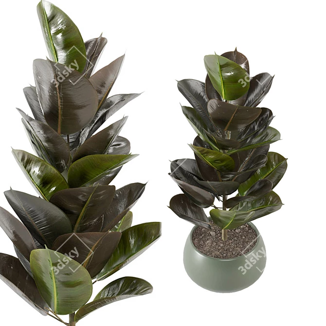 Enchanting Indoor Plants Collection 3D model image 5