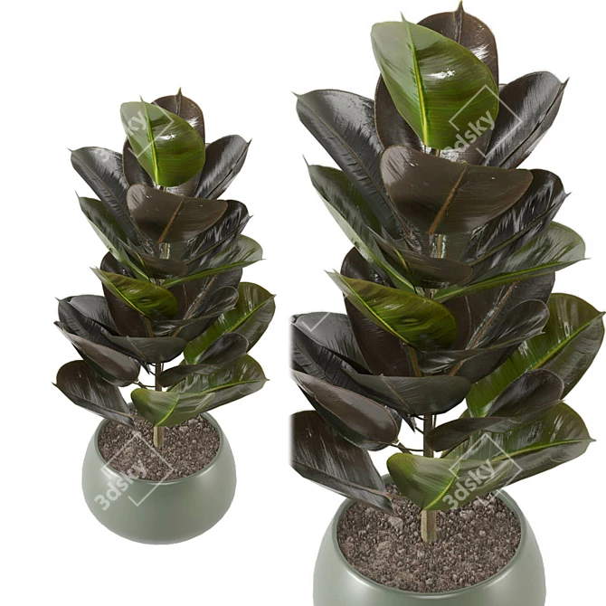 Enchanting Indoor Plants Collection 3D model image 6