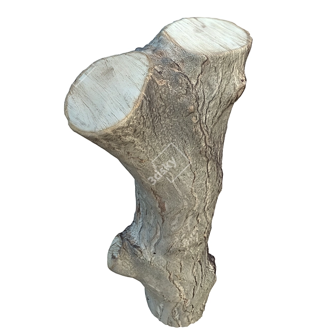 Natural Tree Trunk Decor 3D model image 3