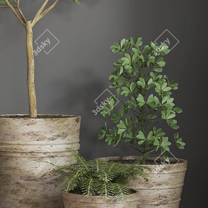 16-Piece Indoor Plant Set 3D model image 5