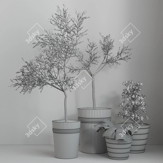 16-Piece Indoor Plant Set 3D model image 6