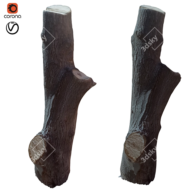 Natural Wooden Tree Trunk 36 3D model image 1